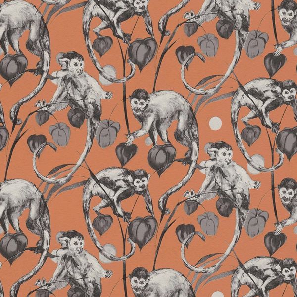 monkeys