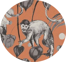 monkey tales